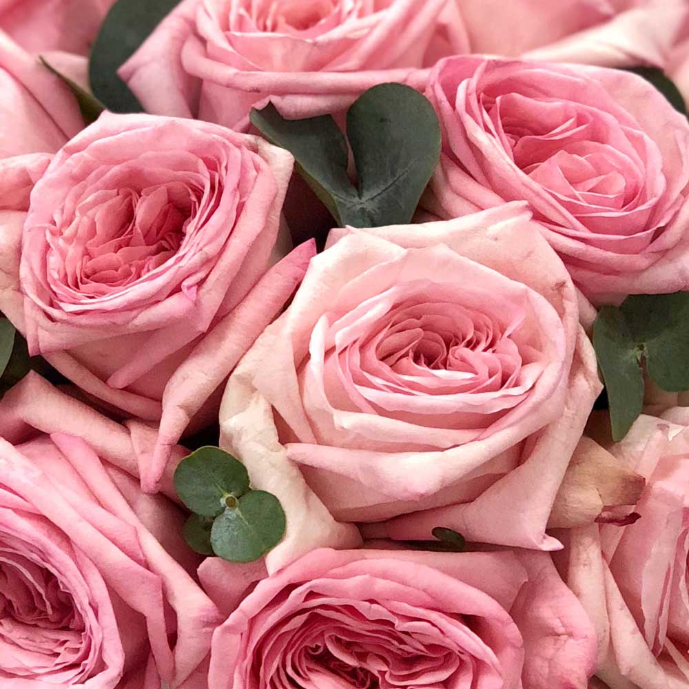 Ароматные розы Пинк Охара в коробке М №0362