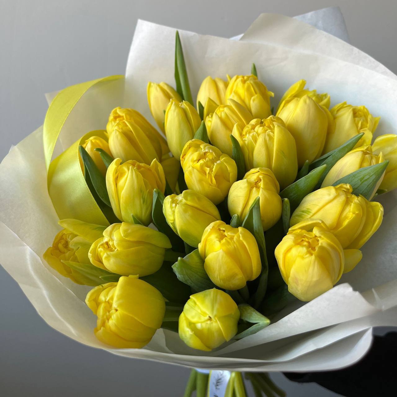 Тюльпаны желтые 25 шт. №0218