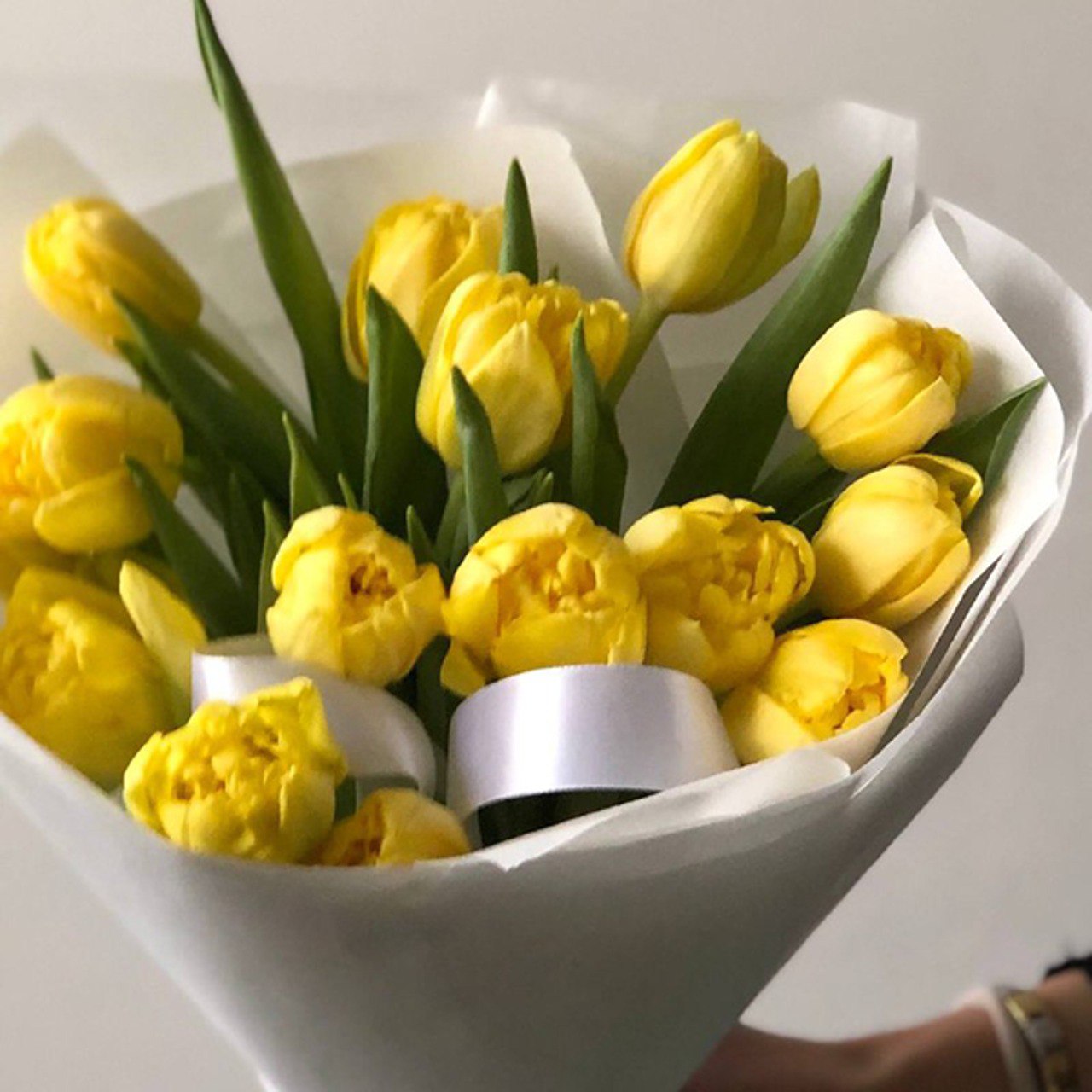 Тюльпаны желтые 15 шт. №0997