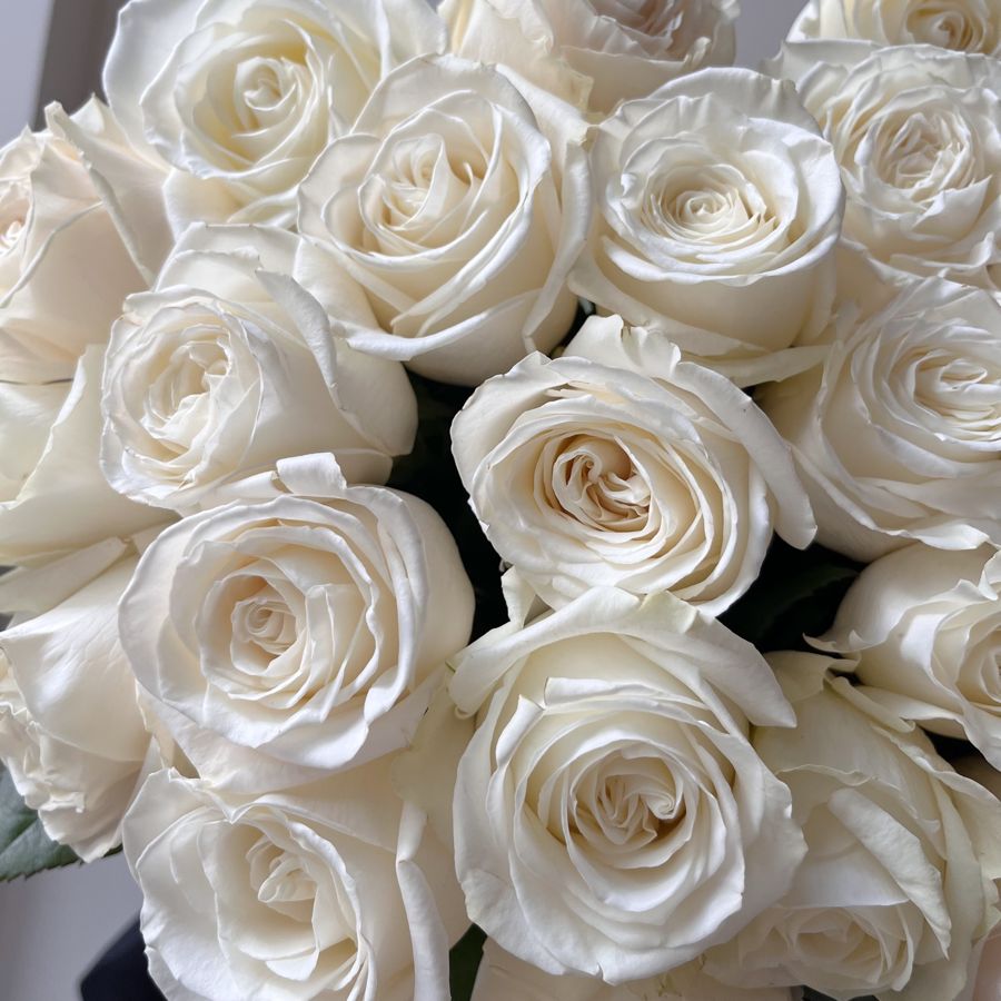 Белоснежные розы Плайя Бланка №8761