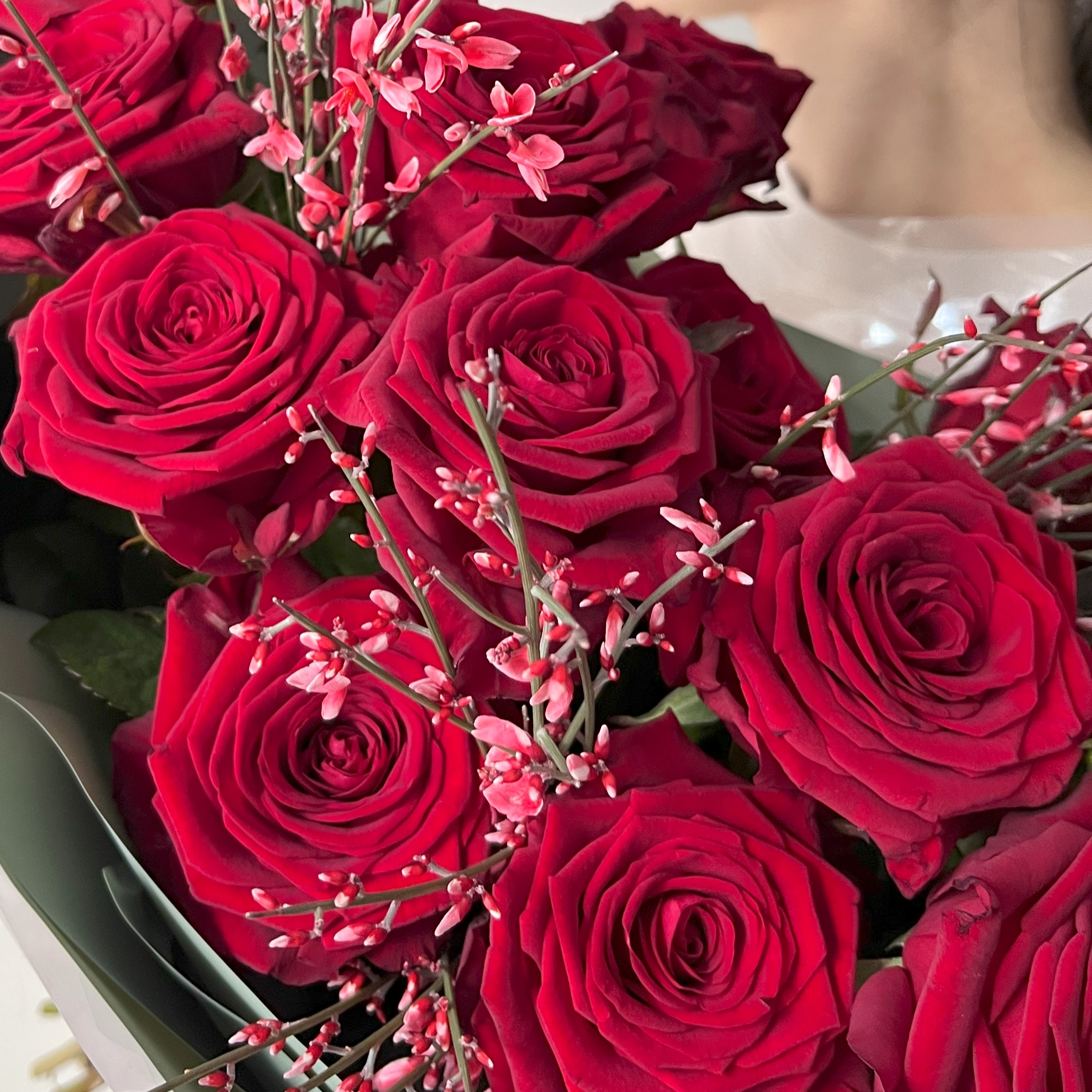 Дуобукет розы Ред Наоми + Гениста №8710