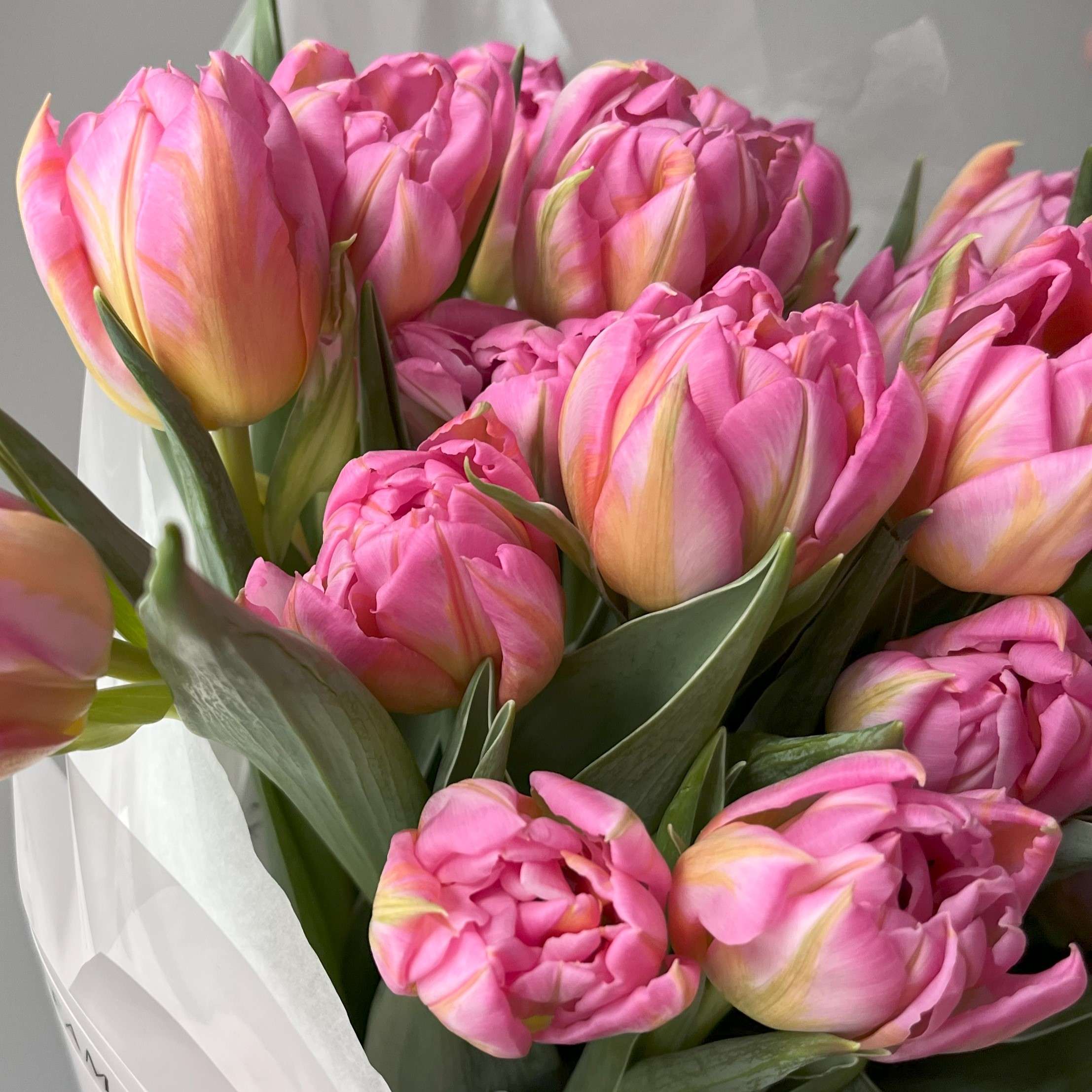 Букет розовых пионовидных тюльпанов №8708