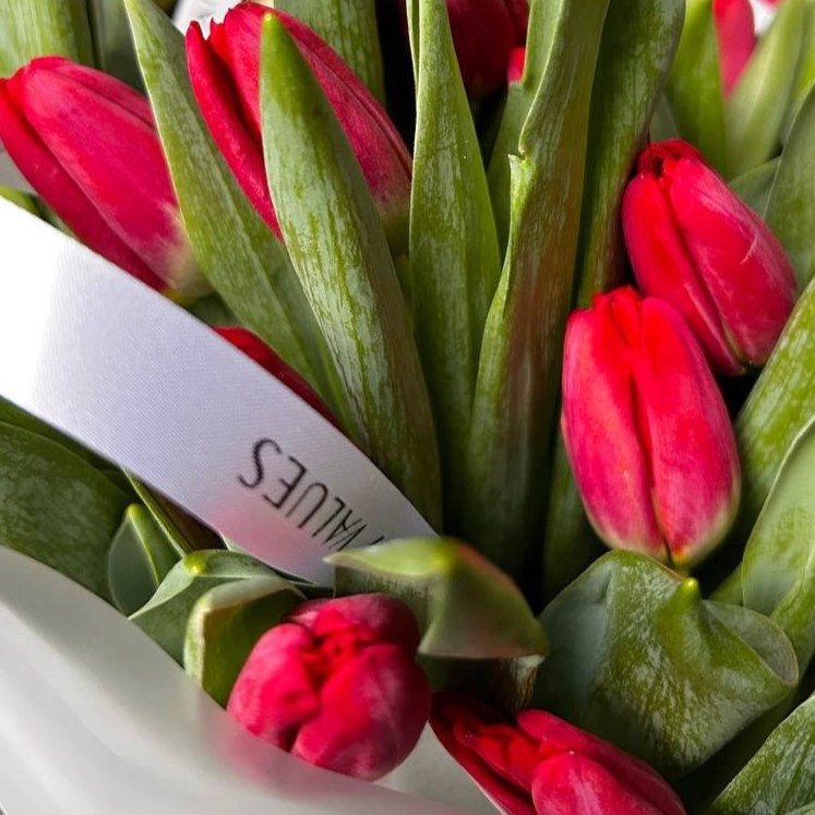Охапка красных хрустящих тюльпанов №0974