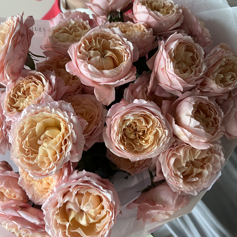 Пионовидные кустовые розы Джульетта №0977