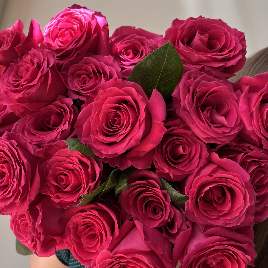 Розы цвета фуксия Фул Монти №8764