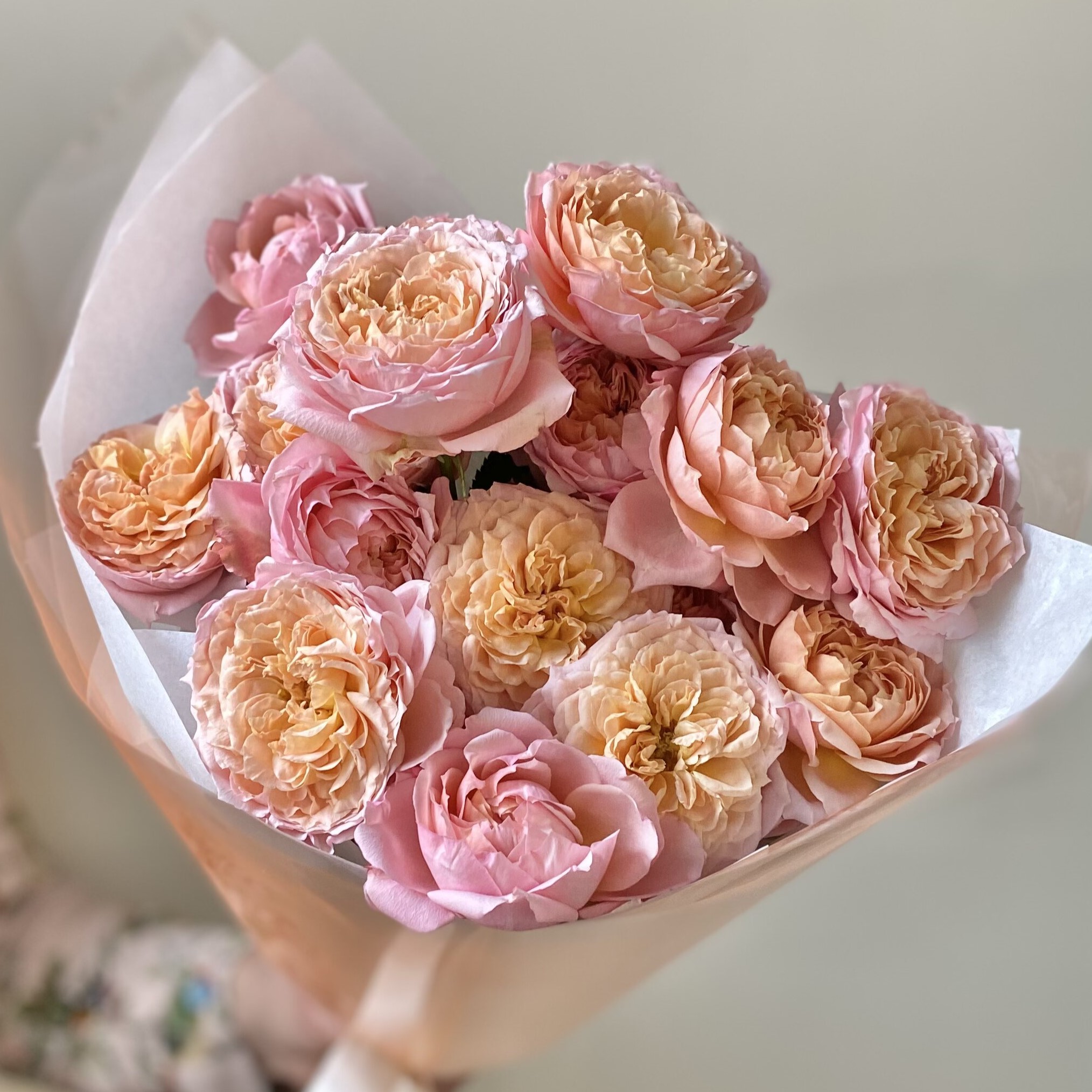 Нежные пионовидные кустовые розы Джульетта №0976