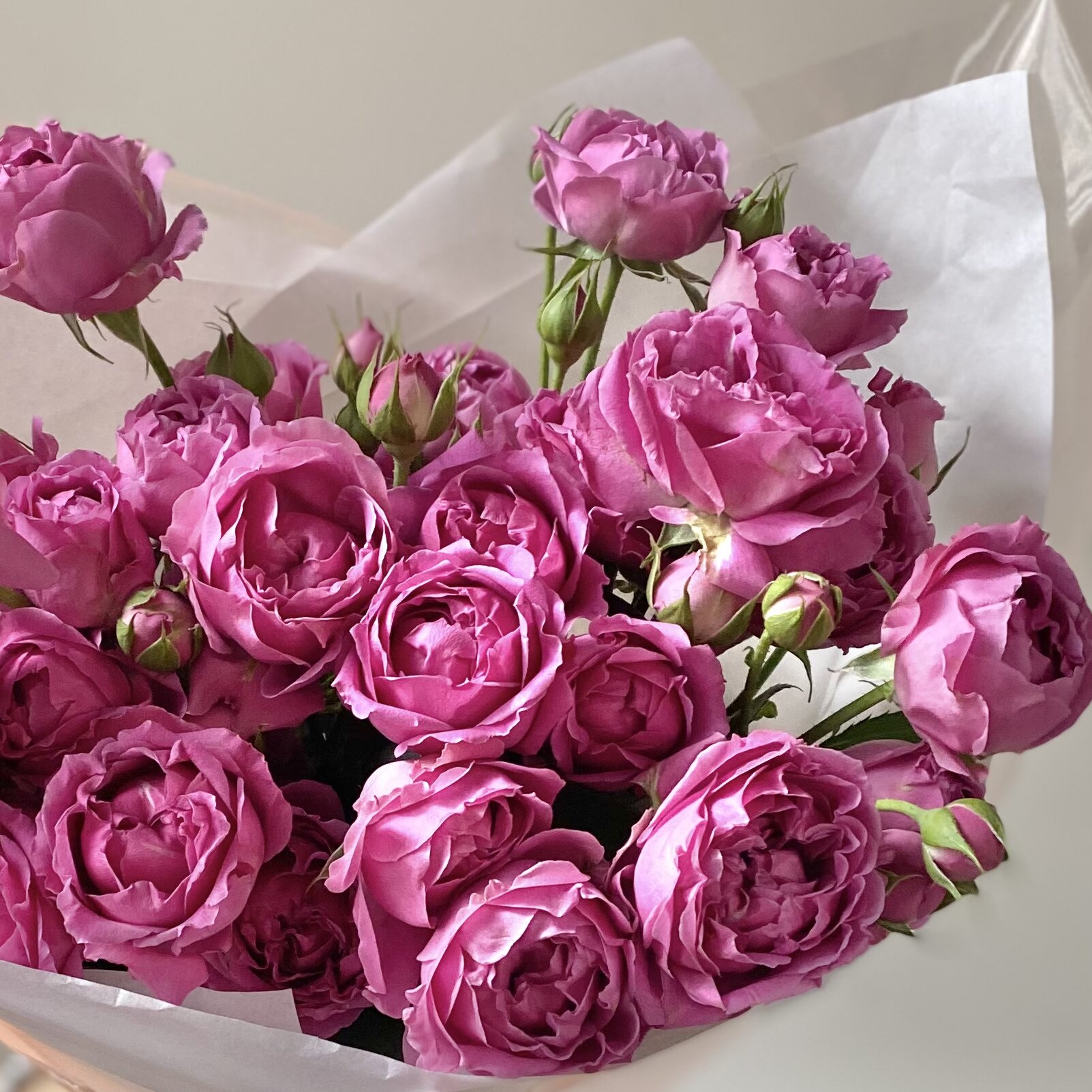 Яркие пионовидные кустовые розы Мисти Баблс №0382